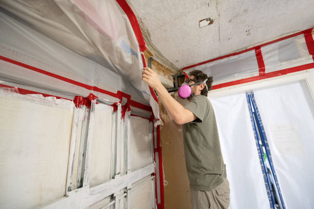 Best Mold Documentation for Insurance Claims  in Glencoe, FL