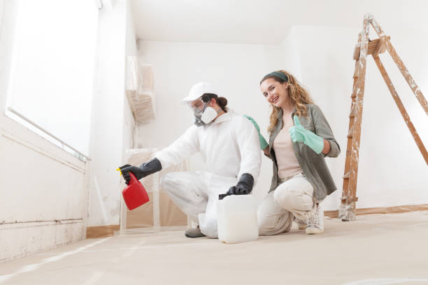  Glencoe, FL Mold Removal Pros