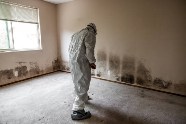 Best Commercial Mold Inspection  in Glencoe, FL