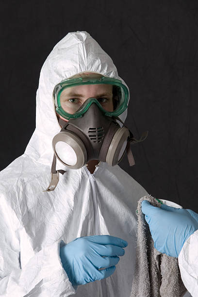 Mold Odor Removal Services in Glencoe, FL